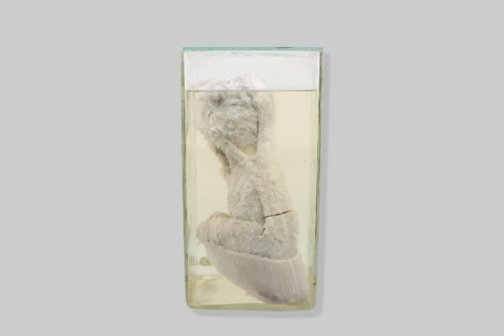 Krunski zglob (articulatio interphalangea proximalis) i kopitni zglob (articulatio interphalangea distalis) konja