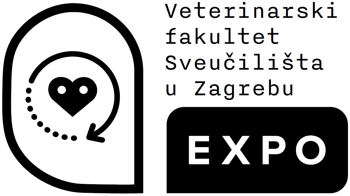VEF EXPO logo