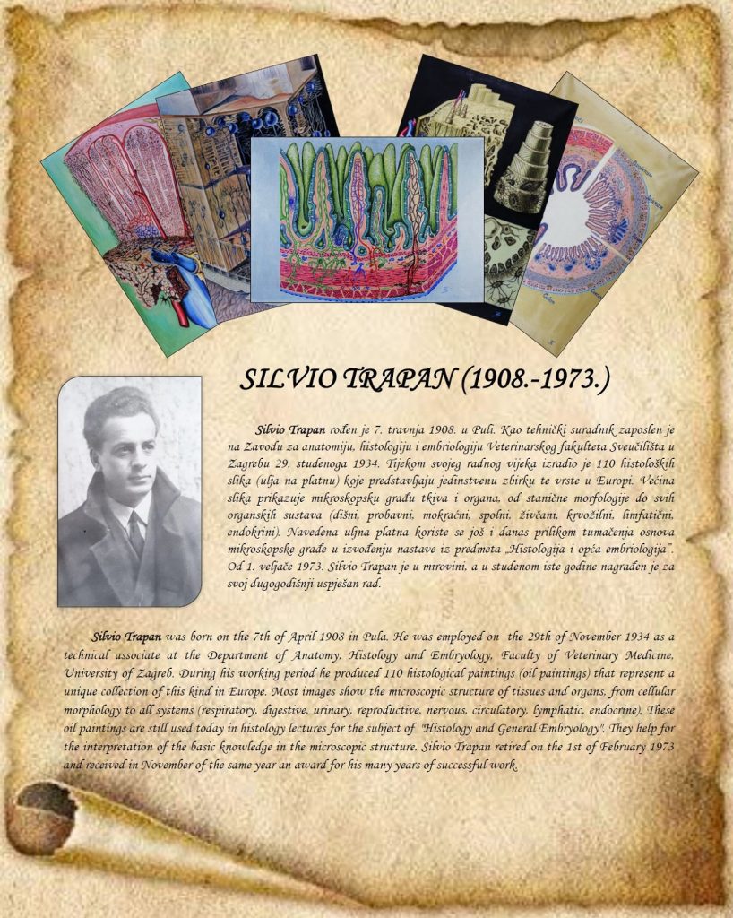 Biografski plakat o Silviu Trapanu / biographical poster about Silvio Trapan